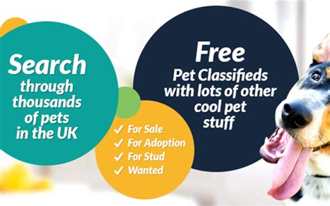 Finding Your Ideal Pet: Where to Begin Your Search