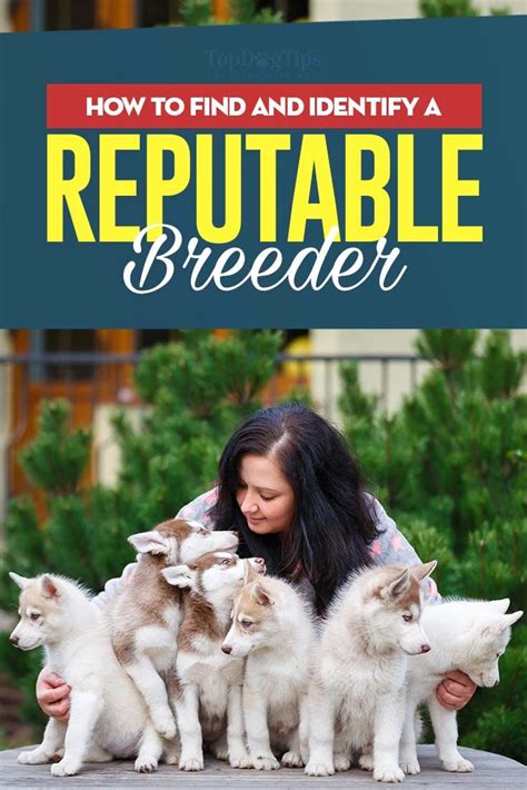 Finding a Reputable Breeder or Rescue Organization