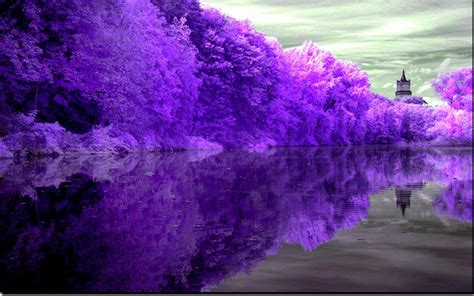 Finding fantasy in nature: Inspiring wonder with majestic violet trees