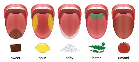 Finding the Perfect Spice for Your Taste Buds