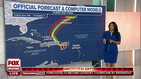 Fiona's Future Plans and Projects to Watch Out For