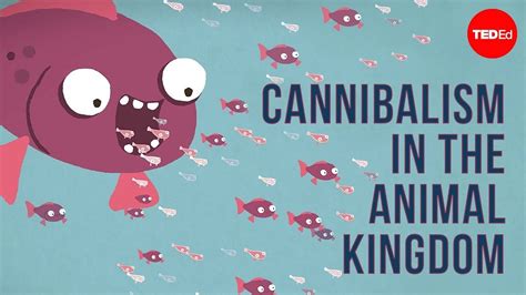 Fish Cannibalism in the Animal Kingdom: Does It Impact Our Dreams?