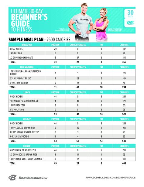 Fitness  Routine and Nutrition Plan