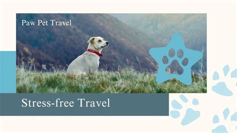 Flying with Pets: Ensuring a Stress-Free Air Travel Experience for Your Furry Companions