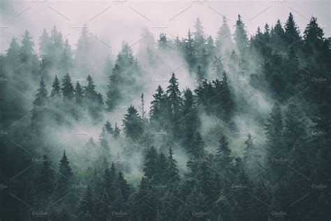 Fog and Fiction: The Inspirational Power of Misty Landscapes