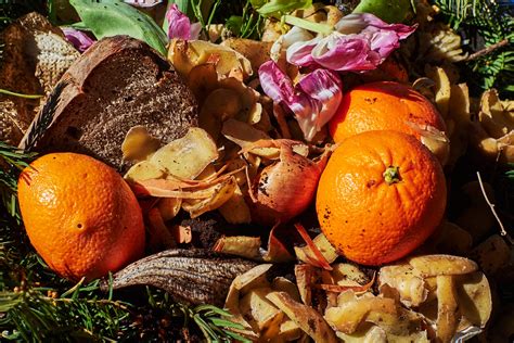 Food Waste in Dreams: Manifestation of Guilt and Surplus