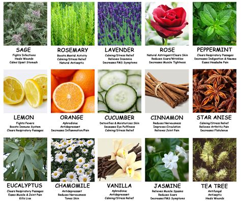 Fragrance and Wellness: The Healing Properties of Aromatherapy