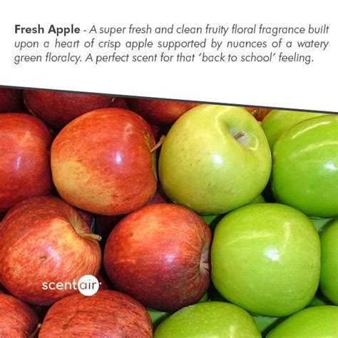 Fresh and Invigorating: Explore the Wonderful World of Crisp Green Apples