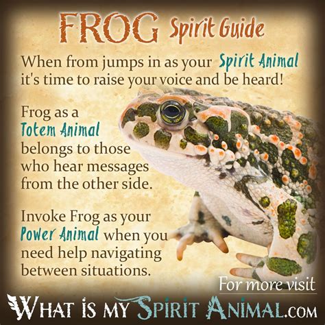 Frogs as Messengers: Deciphering Symbolic Communication