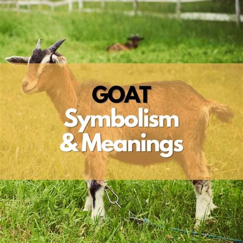 From Ancient Rituals to Modern Interpretations: A Historical Perspective on Goat Meat Symbolism