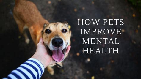 From Anxiety to Bliss: The Role of Pets in Reducing Stress and Enhancing Mental Well-being