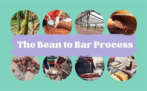 From Bean to Bar: Understanding the Chocolate-Making Process