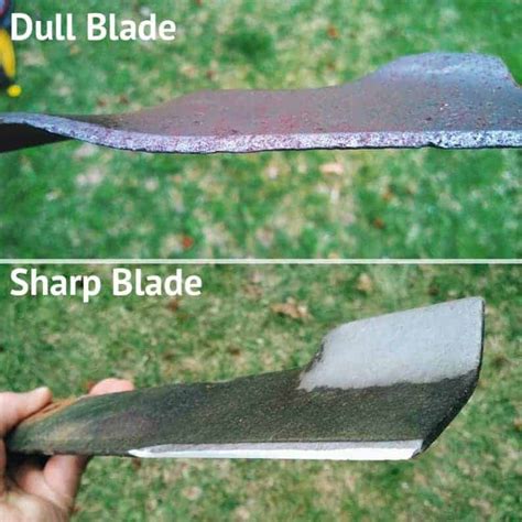 From Blunt to Brilliant: Transforming Dull Blades