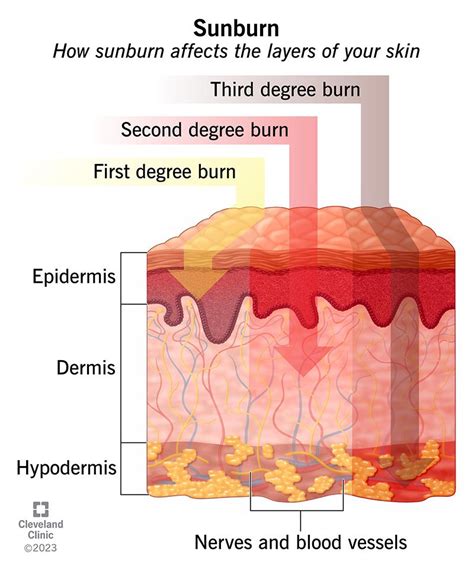 From Burning Bright to Burning Out: The Sun's Final Act