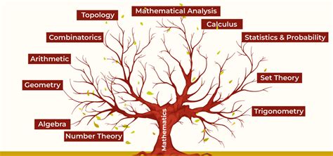 From Counting to Calculus: Exploring the Different Branches of Mathematics