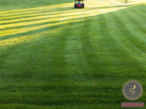 From Disorder to Serenity: Unveiling the Significance of Lawn Dreams in Displaying Your Longing for a Well-Organized Existence