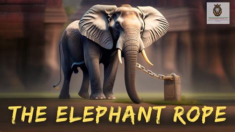 From Dream to Reality: Harnessing the Elephant's Energy and Overcoming Limitations