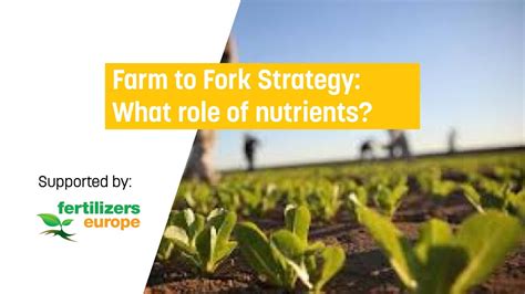 From Farm to Fork: The Role of Sustainable Ingredients in Dessert Making