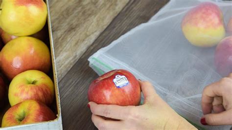 From Farm to Fork: Uncovering the Secrets of Selecting Fresh Apple Varieties