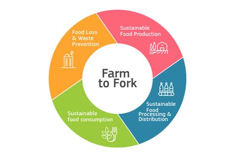 From Farm to Fork: Unveiling the Secrets of Sustainable Eating