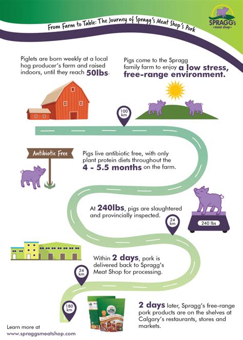 From Farm to Table: Unveiling the Journey of Pork from Production to Plate