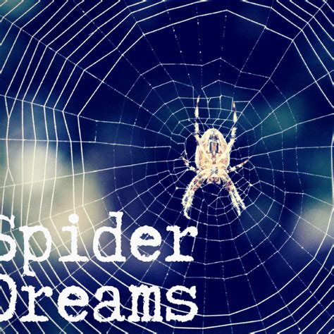 From Fear to Fortune: Various Interpretations of Dreams Involving Spiders