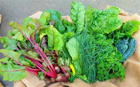 From Field to Plate: Sourcing Fresh Ingredients for Your Hearty Dish