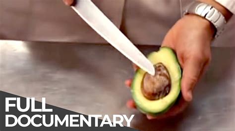 From Harvest to Plate: The Incredible Journey of an Avocado