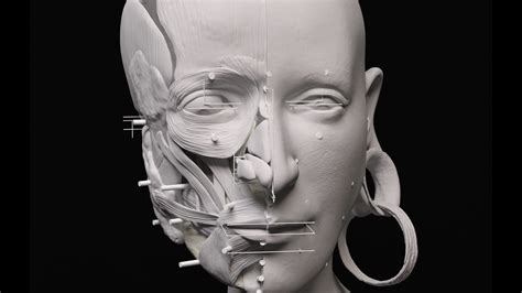 From Imagination to Reality: The Science and Technology Behind Facial Reconstruction