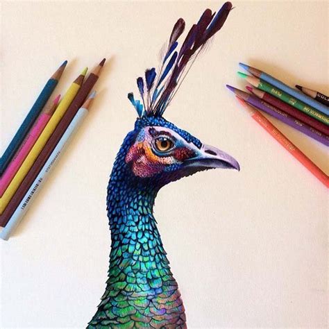 From Inspiration to Exhibition: Showcasing Your Vibrant Pencil Art to the World