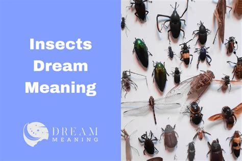 From Irritation to Signs: Decoding the Different Connotations of Creeping Insects in Dreams