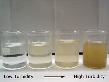 From Murkiness to Clarity: Analyzing the Transformative Power of Immersing in Turbid H2O