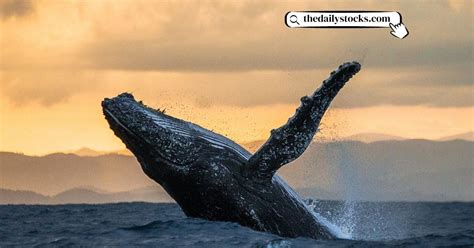 From Myth to Reality: Exploring the Cultural Significance of Whales