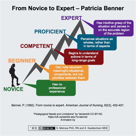 From Novice to Expert