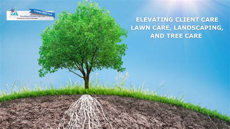 From Novice to Master: Elevating Your Lawn Care Skills