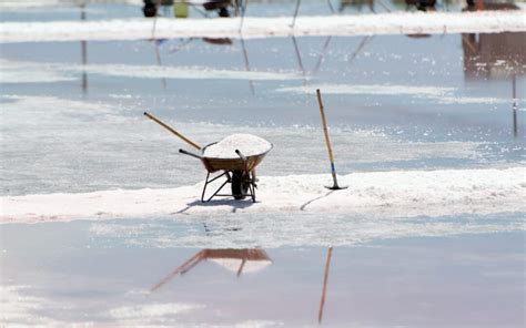 From Salt Mines to Sea Salt: Unraveling the Cultural Significance of Salt Production