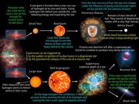 From Summer Glow to Summer Shine: The Evolution of a Star