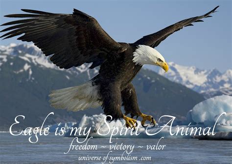 From Symbolism to Inspiration: The Eagle's Legacy