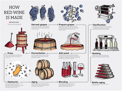 From Vineyard to Glass: Discovering the Art of Wine Making