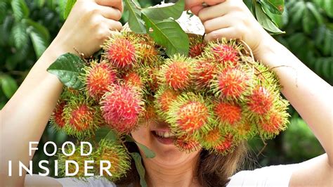 From the Amazon to Asia: Exploring Extraordinary Fruits from Around the Globe