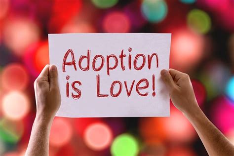 From the Shadows to Sunshine: A Journey of Adoption and Love