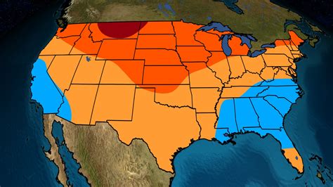 Future Outlook for Ivy Summer