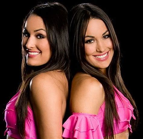 Future Projects and Endeavors of Bella Twins