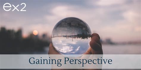 Gaining Perspective: Viewing Through Another Individual's Progress