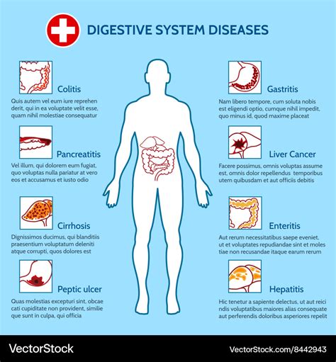 Gastrointestinal Conditions and Disorders