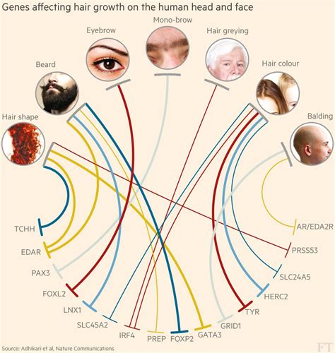 Genetics and Chest Hair: Can You Control Your Hairiness?