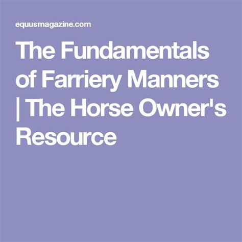 Getting Familiar with the Fundamentals of Horse Ownership