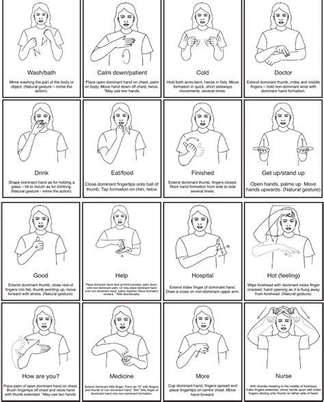 Getting Started: Essential Signs and Gestures