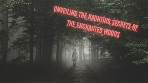 Ghostly Encounters: Stories from Enchanted Dwellings