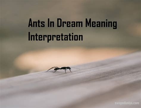 Giant Ants in Dreams: Symbolism and Significance